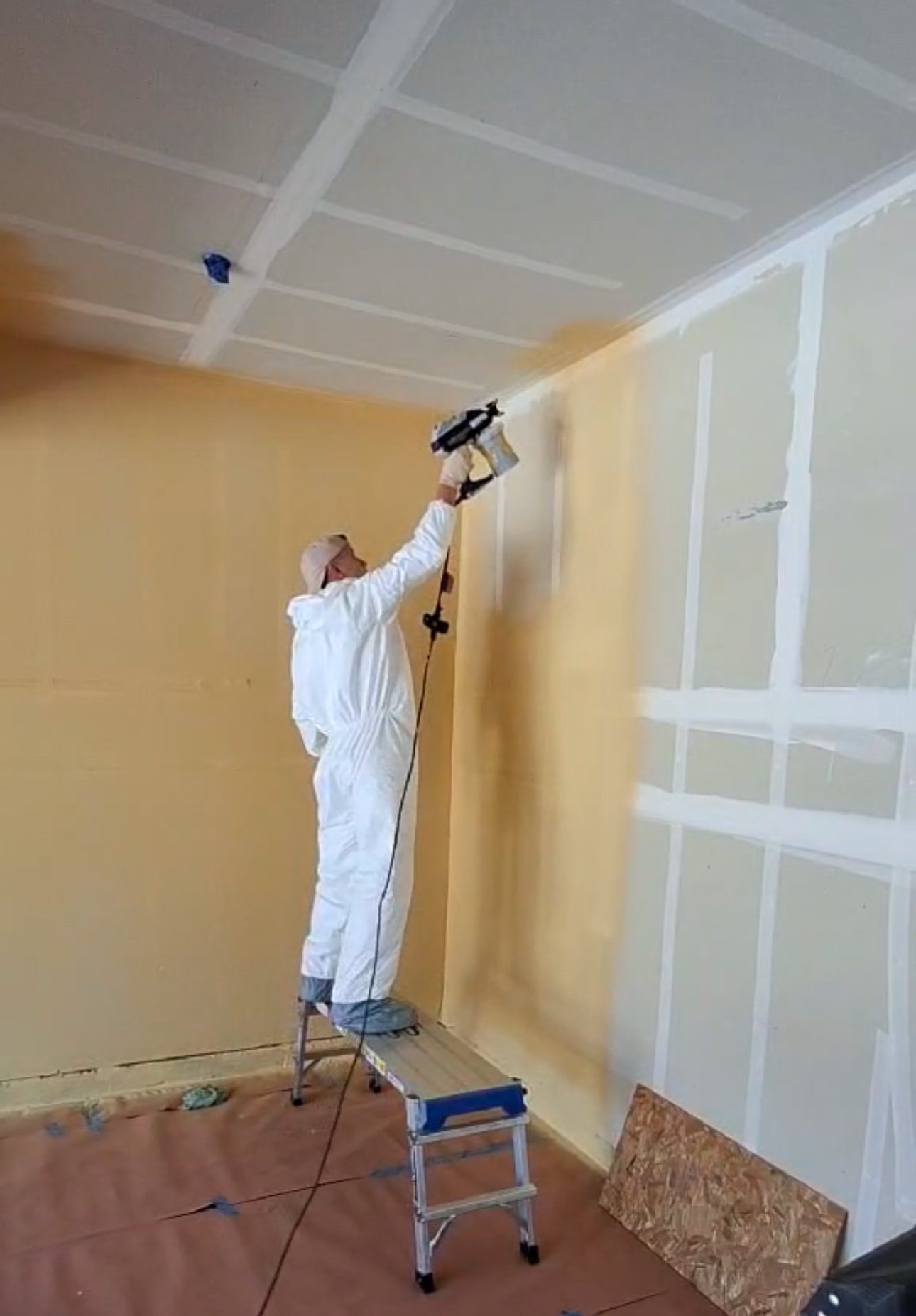 Paint